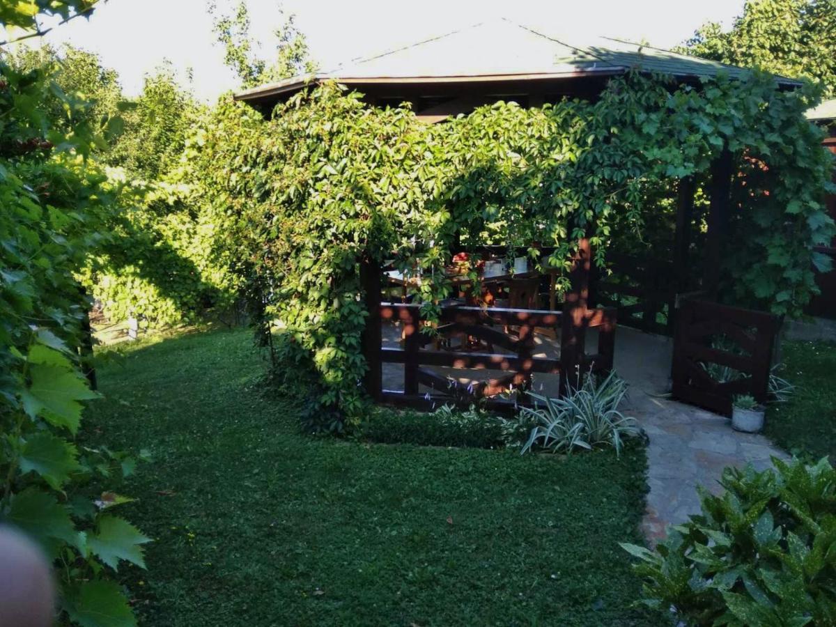 Apartmani Zapis Vrdnik Extérieur photo