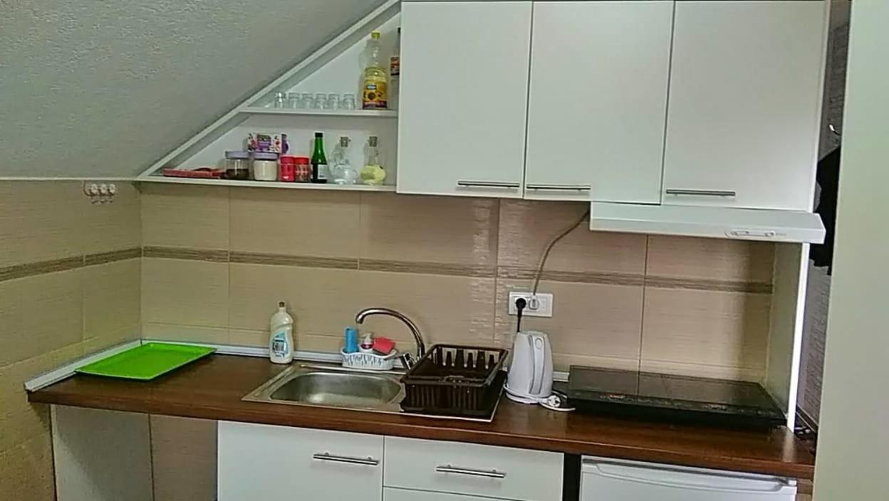 Apartmani Zapis Vrdnik Extérieur photo